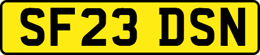 SF23DSN