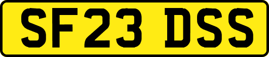 SF23DSS