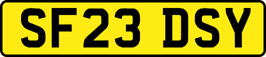 SF23DSY