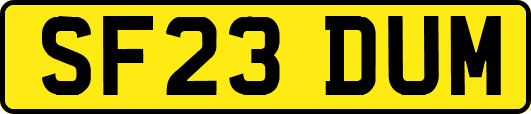 SF23DUM