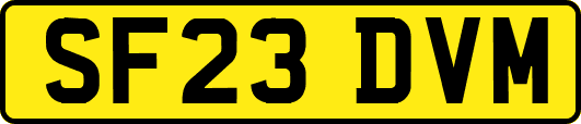 SF23DVM