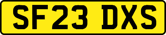 SF23DXS
