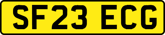 SF23ECG