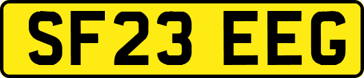 SF23EEG