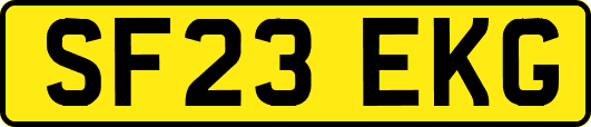SF23EKG