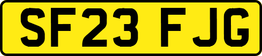 SF23FJG