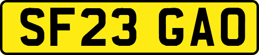 SF23GAO