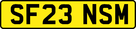 SF23NSM