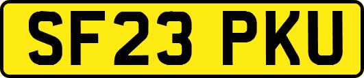 SF23PKU