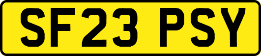 SF23PSY