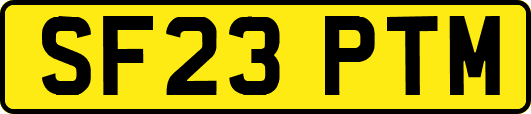 SF23PTM