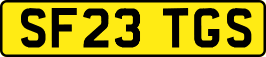 SF23TGS
