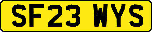SF23WYS