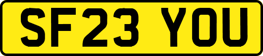SF23YOU