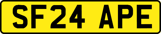 SF24APE