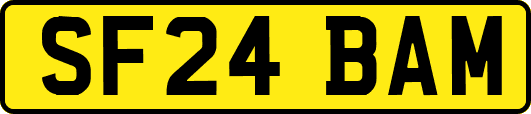 SF24BAM