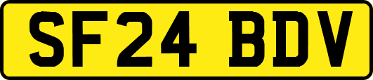 SF24BDV