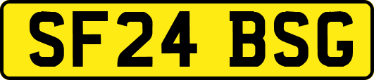 SF24BSG