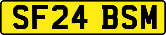 SF24BSM