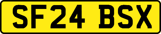 SF24BSX