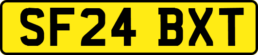 SF24BXT