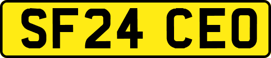 SF24CEO