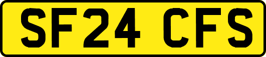 SF24CFS