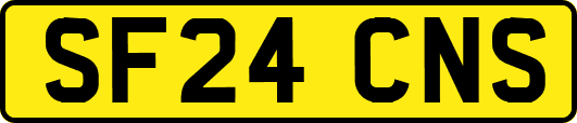 SF24CNS