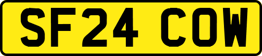SF24COW