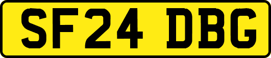 SF24DBG