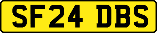 SF24DBS