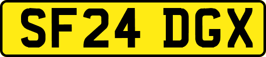 SF24DGX