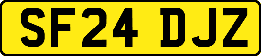 SF24DJZ