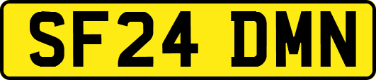 SF24DMN
