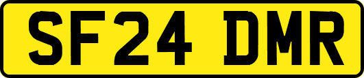 SF24DMR