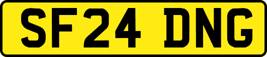 SF24DNG