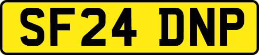 SF24DNP