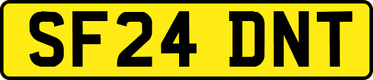 SF24DNT