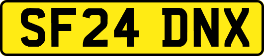 SF24DNX
