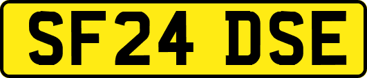 SF24DSE