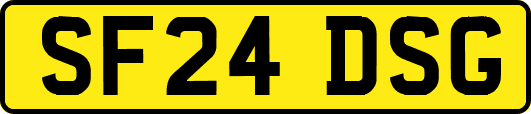 SF24DSG