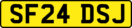 SF24DSJ
