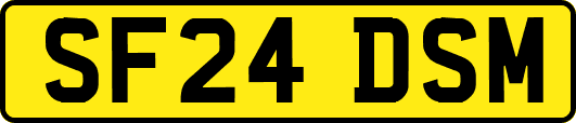 SF24DSM