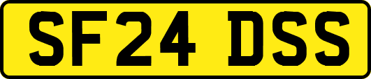 SF24DSS