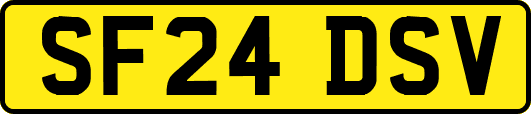SF24DSV