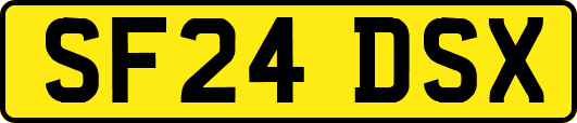 SF24DSX