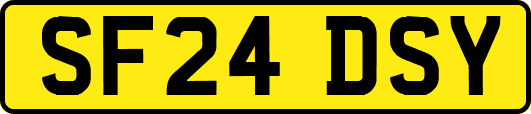 SF24DSY