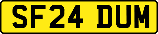 SF24DUM