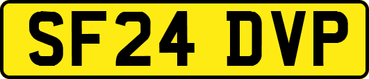 SF24DVP