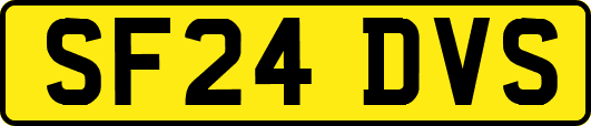 SF24DVS